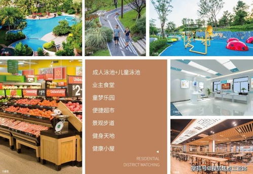 海南歡迎您｜打造旅游開發(fā)項(xiàng)目策劃與線上購(gòu)房咨詢一體化服務(wù)